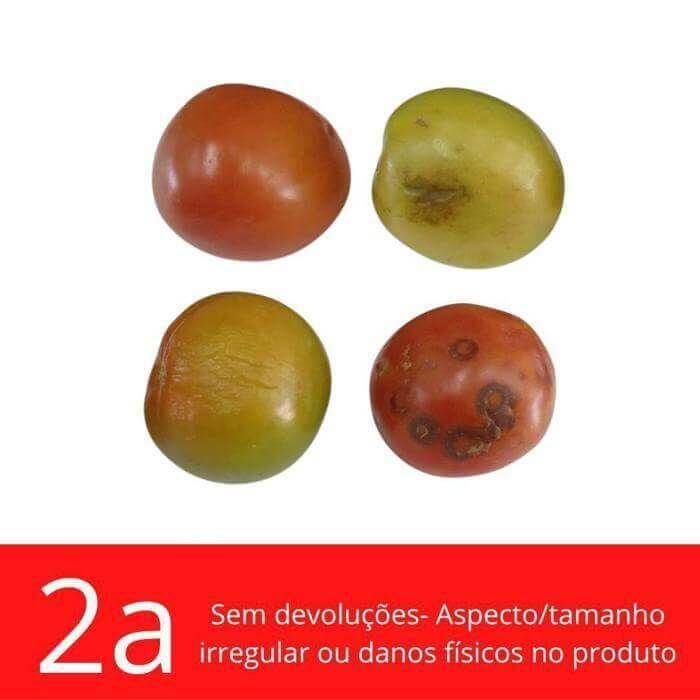 Tomate italiano diverso